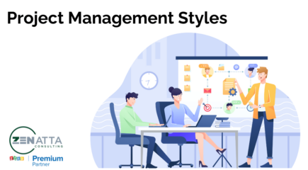 Project Management Styles