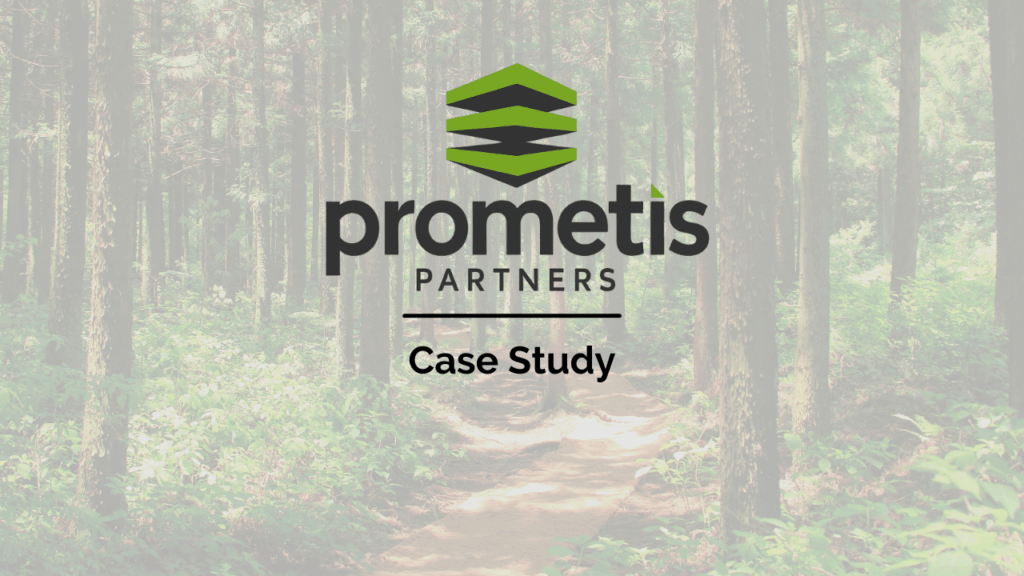 Prometis Partners – Case Study - Uncategorized - - Prometis Partners