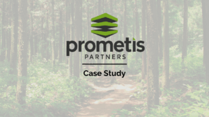 Prometis Partners – Case Study - Uncategorized -  - Prometis Partners