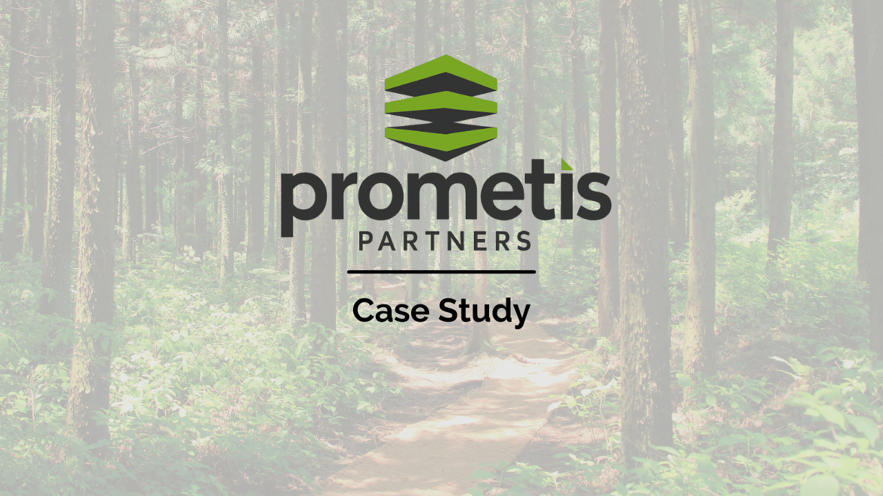 Prometis Partners – Case Study - Uncategorized -  - Prometis Partners